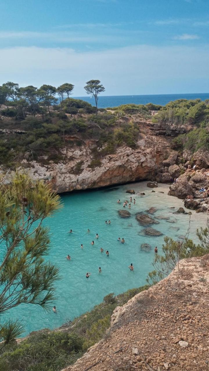 Trendy Διαμέρισμα Πάλμα ντε Μαγιόρκα Εξωτερικό φωτογραφία