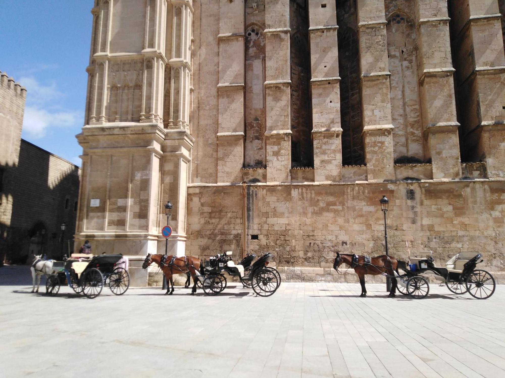 Trendy Διαμέρισμα Πάλμα ντε Μαγιόρκα Εξωτερικό φωτογραφία